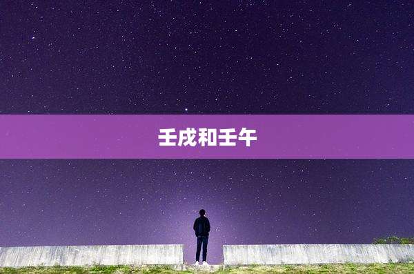 壬戌和壬午