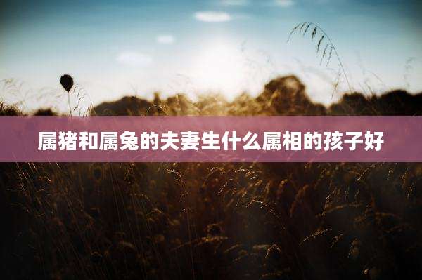 属猪和属兔的夫妻生什么属相的孩子好