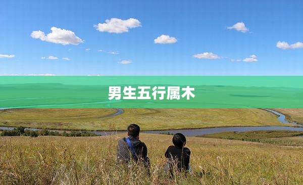 男生五行属木