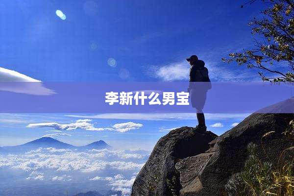 李新什么男宝