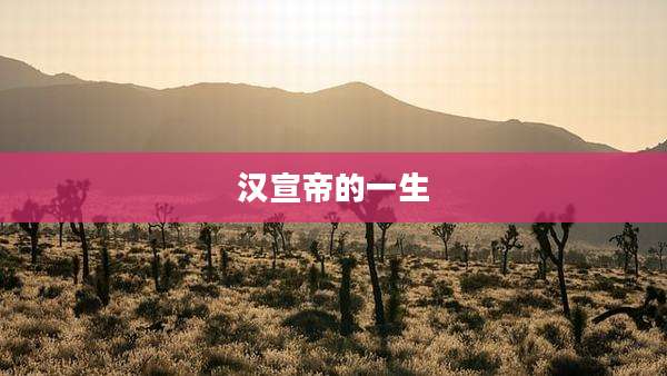 汉宣帝的一生