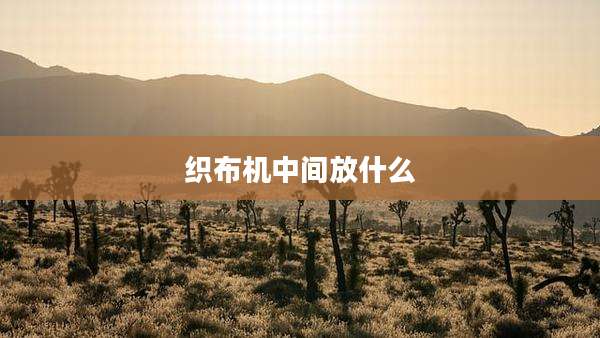 织布机中间放什么