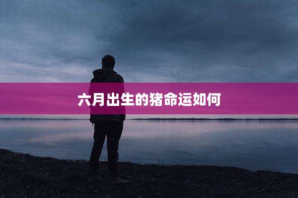 六月出生的猪命运如何