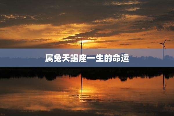 属兔天蝎座一生的命运