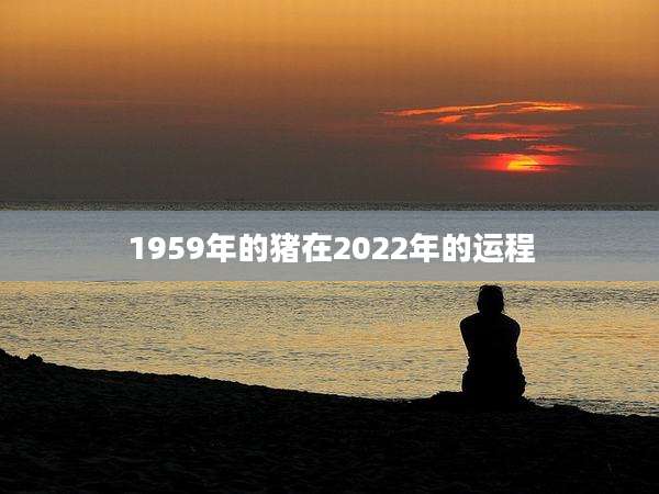 1959年的猪在2022年的运程