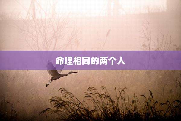 命理相同的两个人