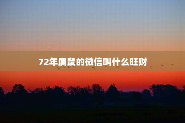 72年属鼠的微信叫什么旺财