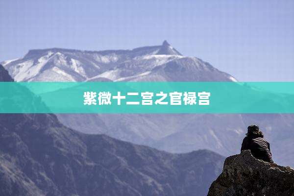 紫微十二宫之官禄宫