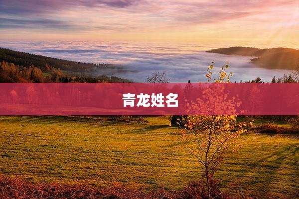 青龙姓名
