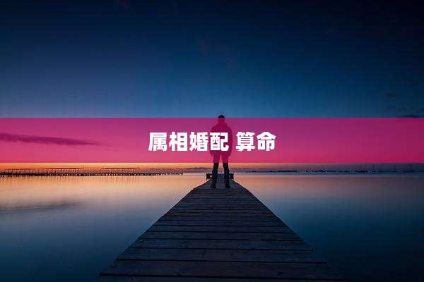 属相婚配 算命
