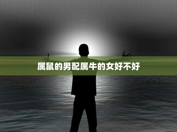 属鼠的男配属牛的女好不好