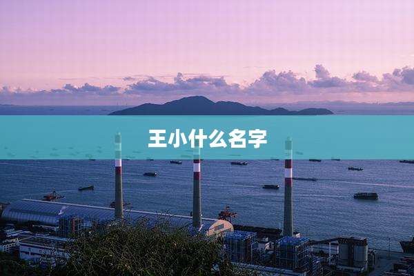 王小什么名字