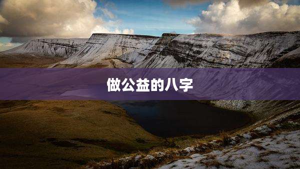 做公益的八字