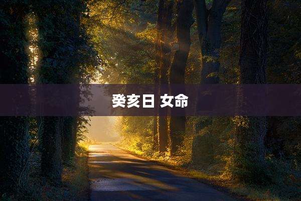 癸亥日 女命