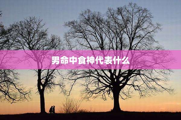 男命中食神代表什么