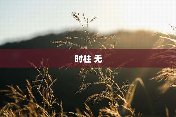 时柱 无