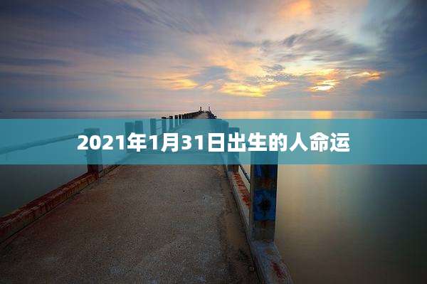2021年1月31日出生的人命运