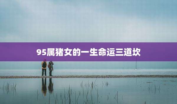 95属猪女的一生命运三道坎