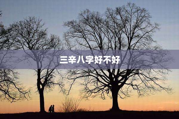 三辛八字好不好