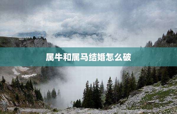 属牛和属马结婚怎么破