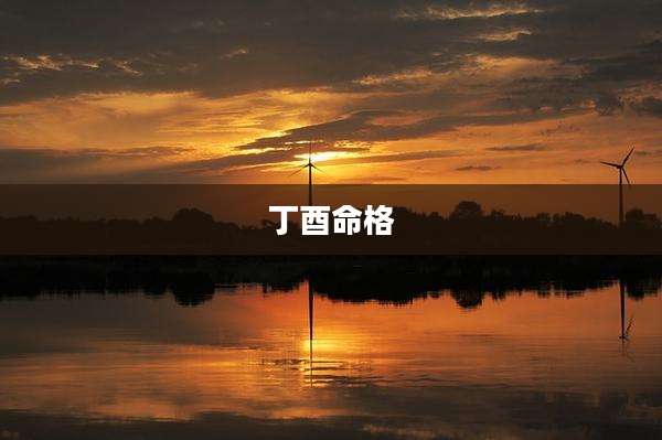 丁酉命格