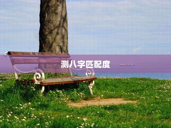 测八字匹配度