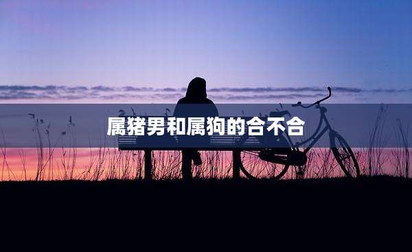 属猪男和属狗的合不合