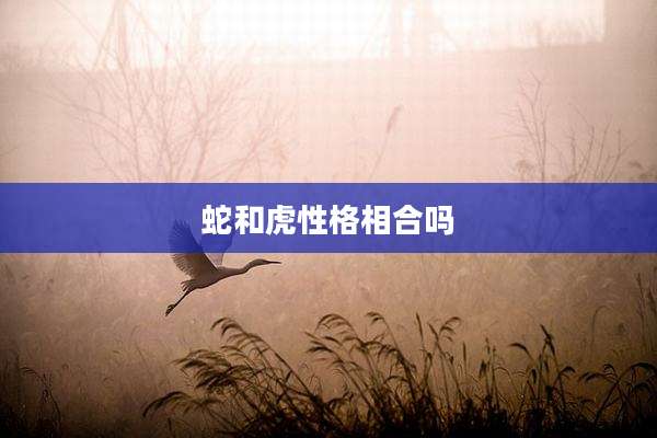 蛇和虎性格相合吗