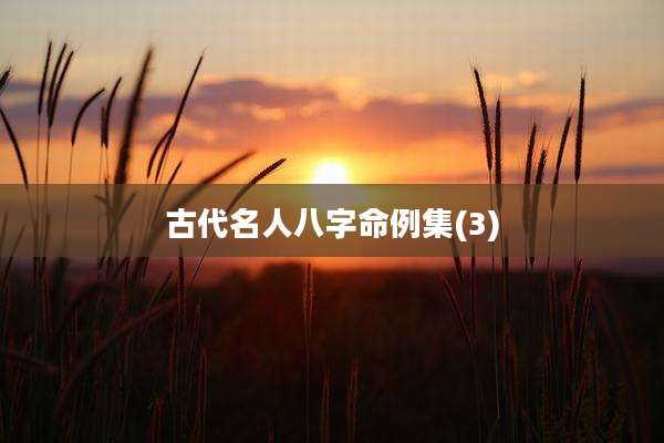 古代名人八字命例集(3)