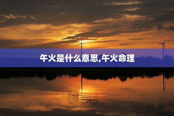午火是什么意思,午火命理