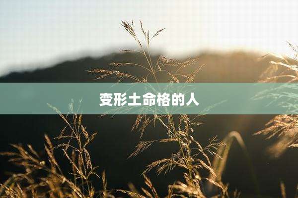 变形土命格的人