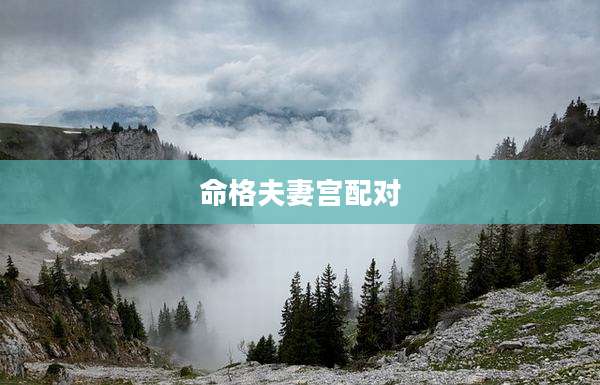 命格夫妻宫配对