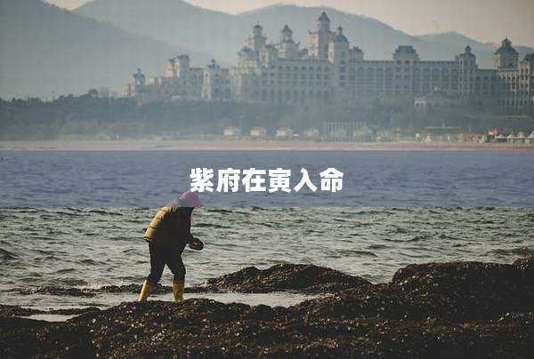 紫府在寅入命