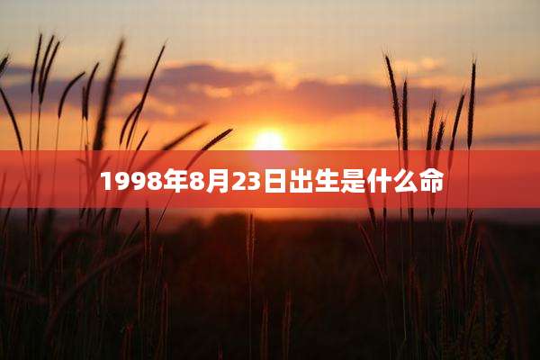 1998年8月23日出生是什么命