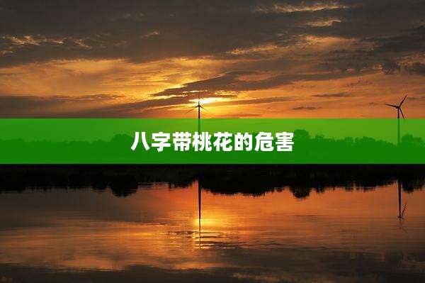 八字带桃花的危害