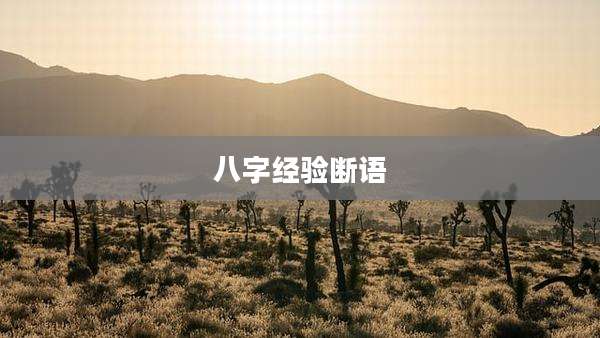 八字经验断语