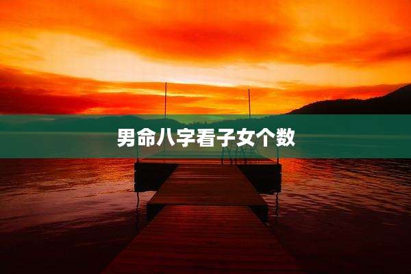 男命八字看子女个数