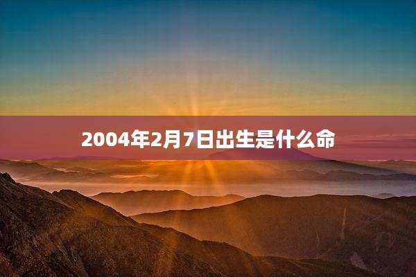 2004年2月7日出生是什么命