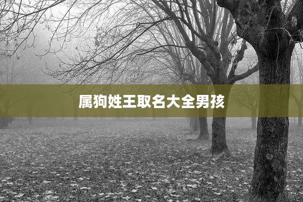 属狗姓王取名大全男孩