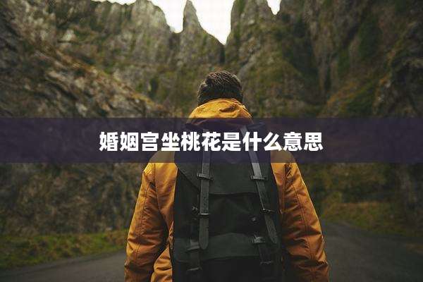 婚姻宫坐桃花是什么意思