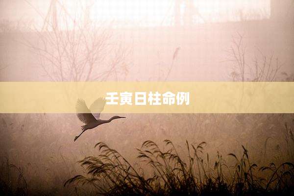 壬寅日柱命例