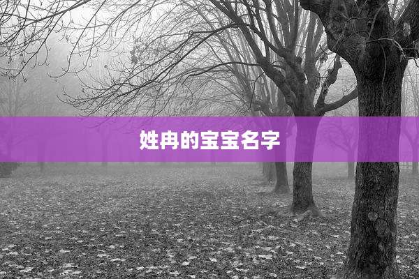姓冉的宝宝名字