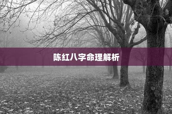陈红八字命理解析