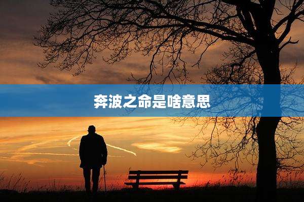 奔波之命是啥意思