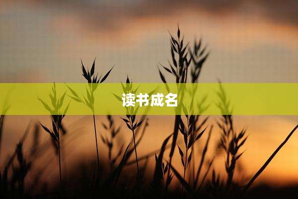 读书成名