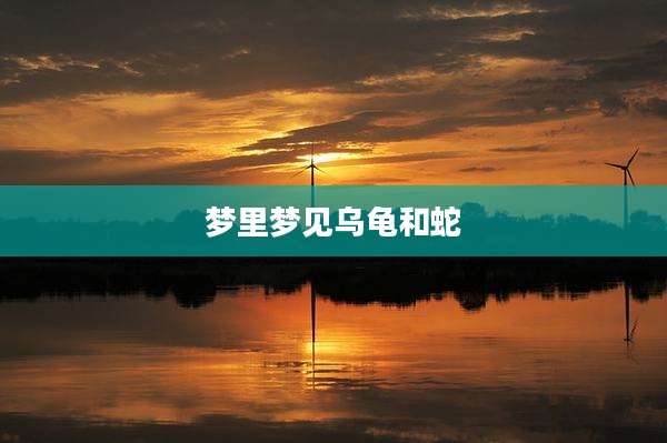 梦里梦见乌龟和蛇