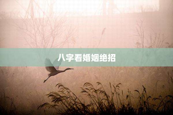 八字看婚姻绝招