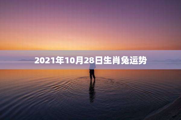 2021年10月28日生肖兔运势