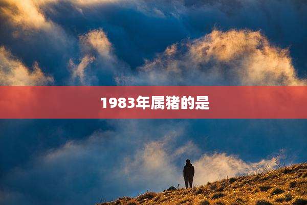 1983年属猪的是