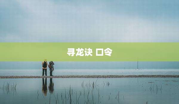 寻龙诀 口令